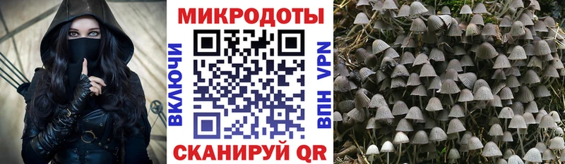Псилоцибиновые грибы GOLDEN TEACHER  ссылка на мегу ссылка  Сергач  купить наркоту 